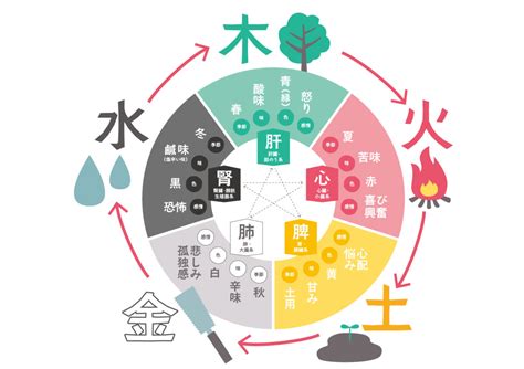 陰陽五行 動物|陰陽五行とは？その影響や太極図も解説